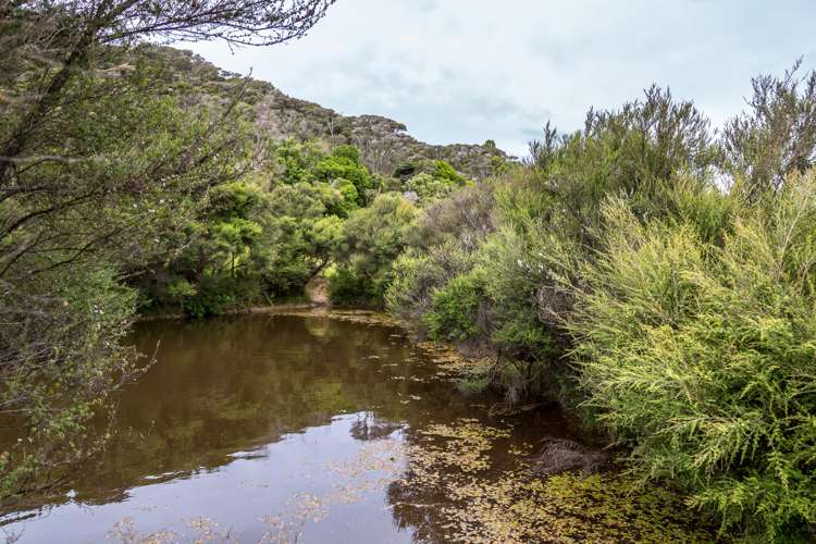 671 Saunders Road Tiraumea_5