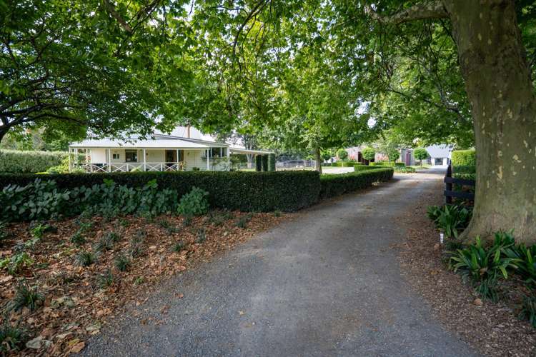 4/191 Racecourse Road Cambridge_17