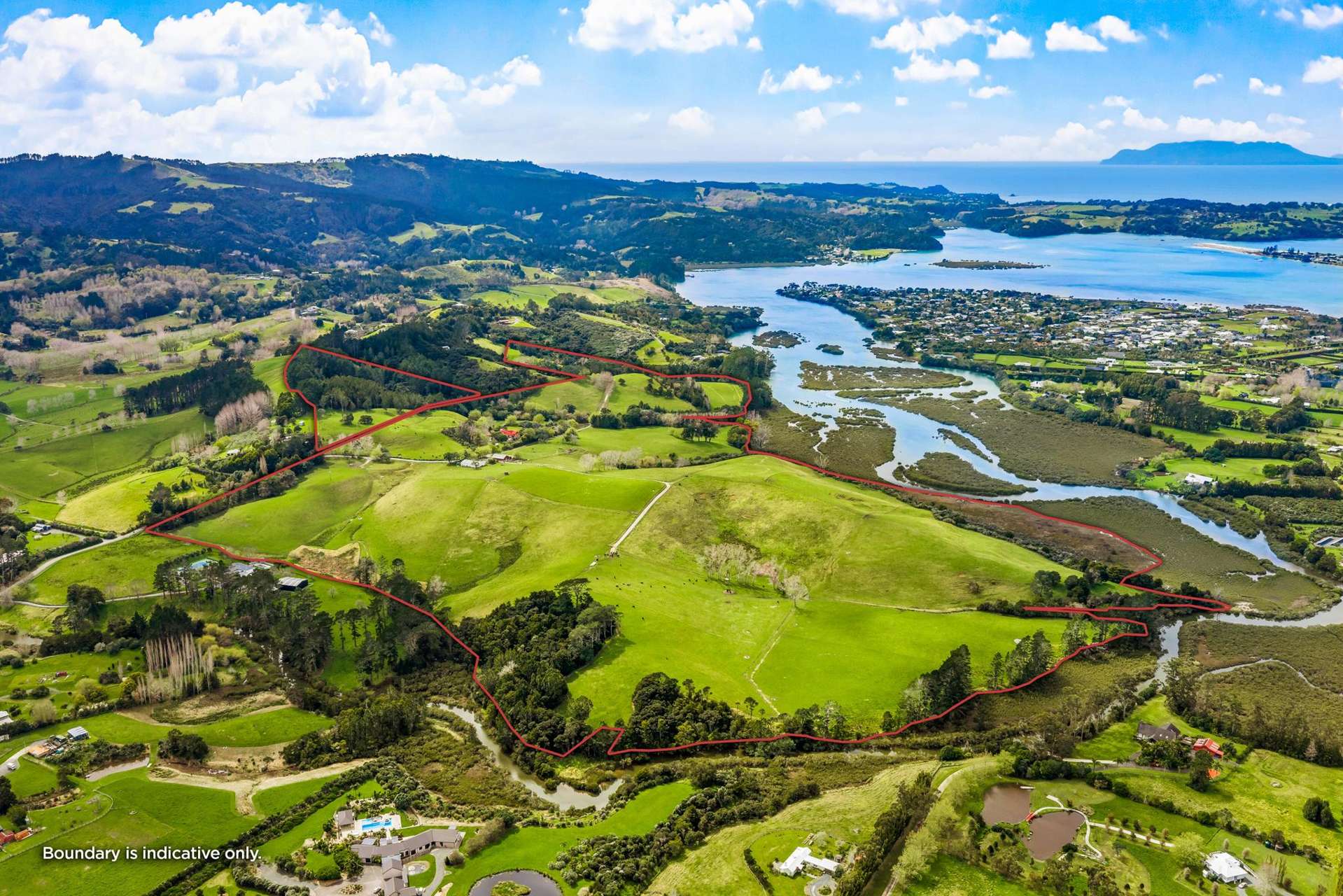 Quintal Farm Matakana_0