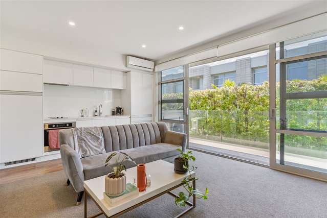 369 Murphys Road Flat Bush_1