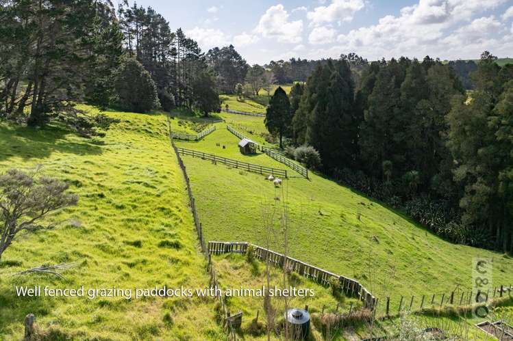 93 Alf Access Road Helensville_49