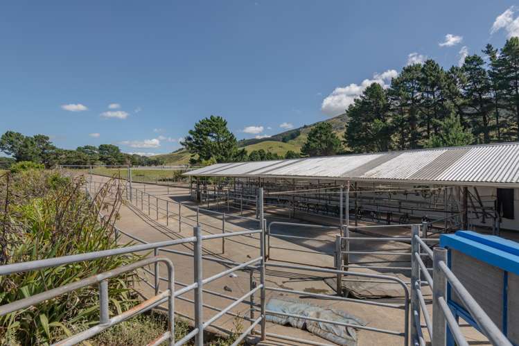 172 Kakariki West Road Eketahuna_18