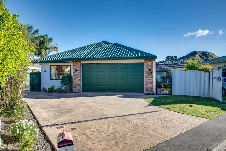 5a Montague Way Taradale_14