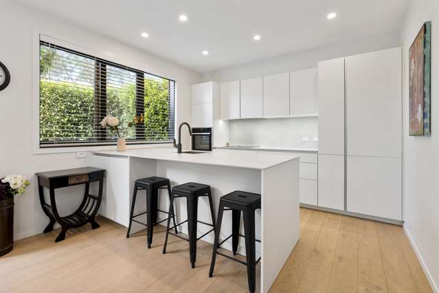 55A Kelmarna Avenue Ponsonby_2