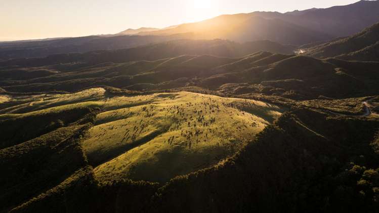 220 Quartz Range Road Bainham_2