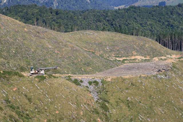 AWAKINO FORESTRY LAND