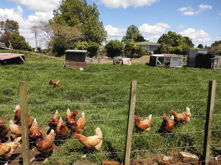 13 Shaftesbury Road Manawaru_19