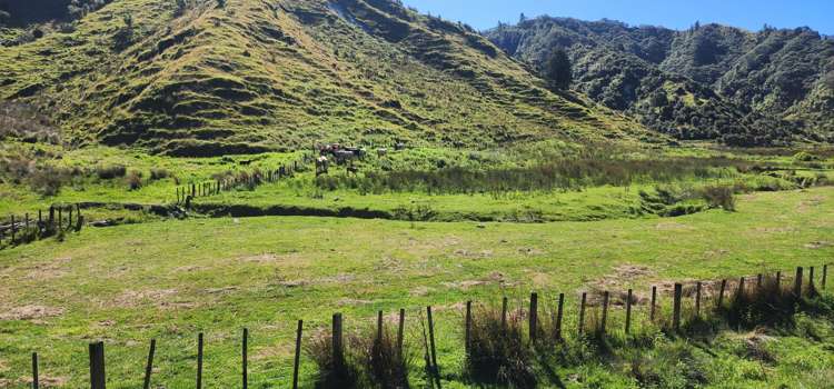 900 Okoki Road Okoki_18