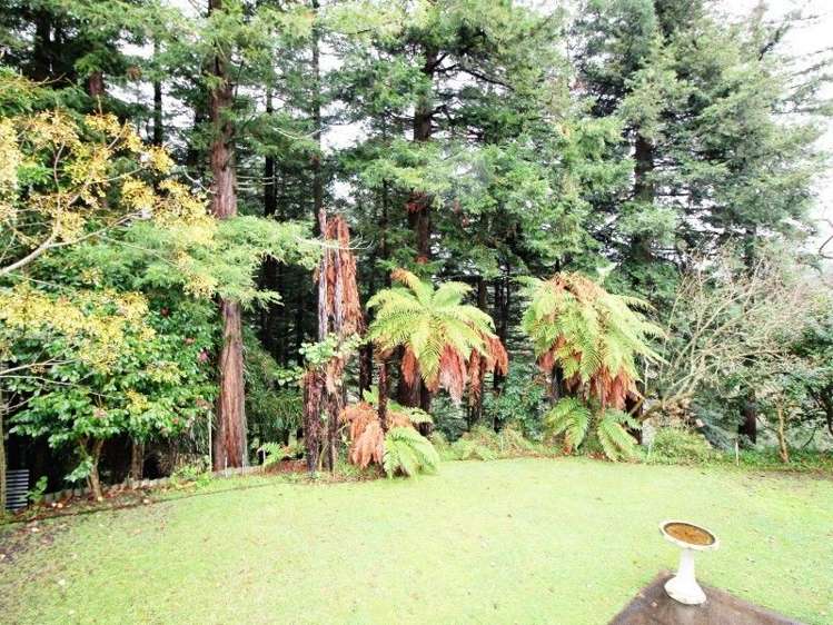 44h Charlemont Street Whitiora_3