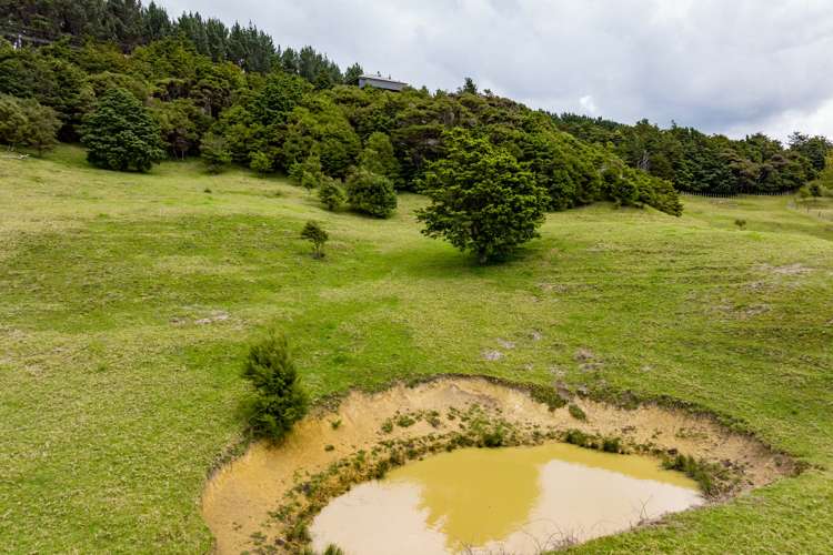 827 Tinopai Road Tinopai_38