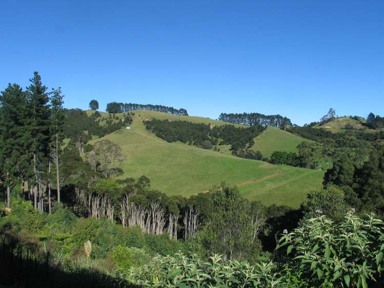 47 Moumoukai Hill Road Ness Valley_5