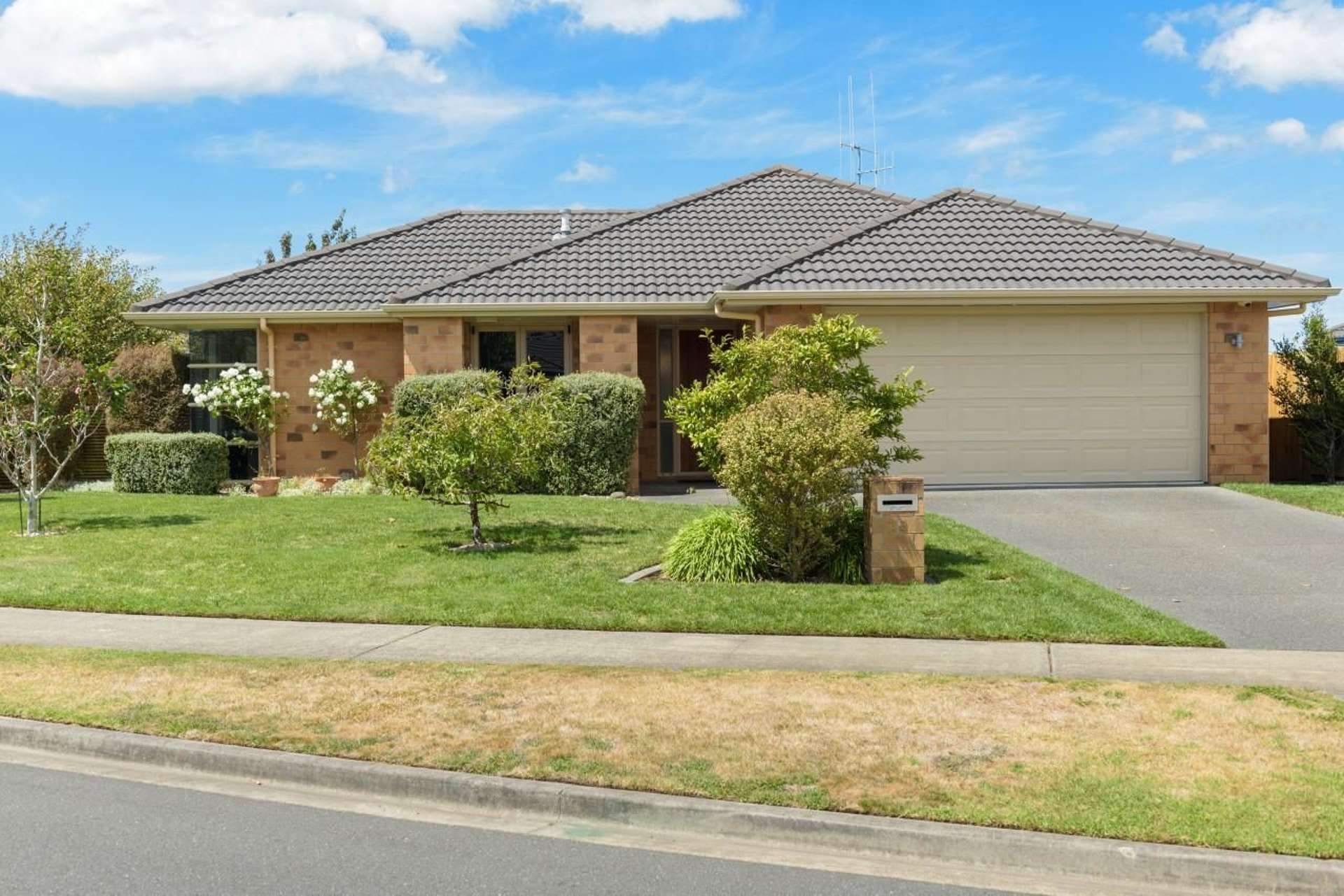 78 Arabian Drive Papamoa_0