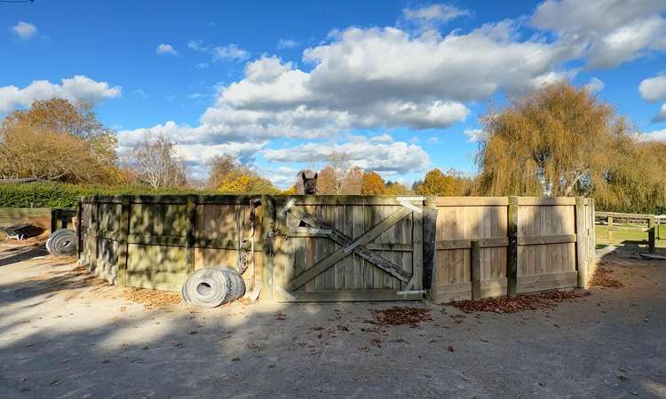 57 Racecourse Road Cambridge_21