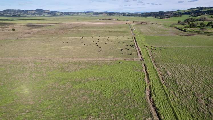 224 Rushbrook Road Ruatangata_7