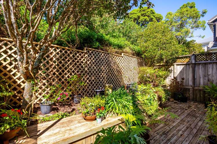 2/59A Hamilton Road Hataitai_17