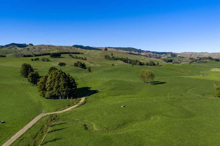 141 Te Mata Road Raglan_6