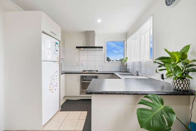 17B Trimdon Street Randwick Park_4