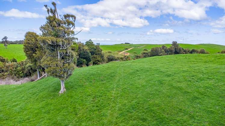 44 Te Rauamoa Road Otorohanga_28