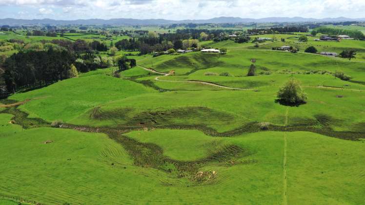 44 Wallace Road Temple View_9