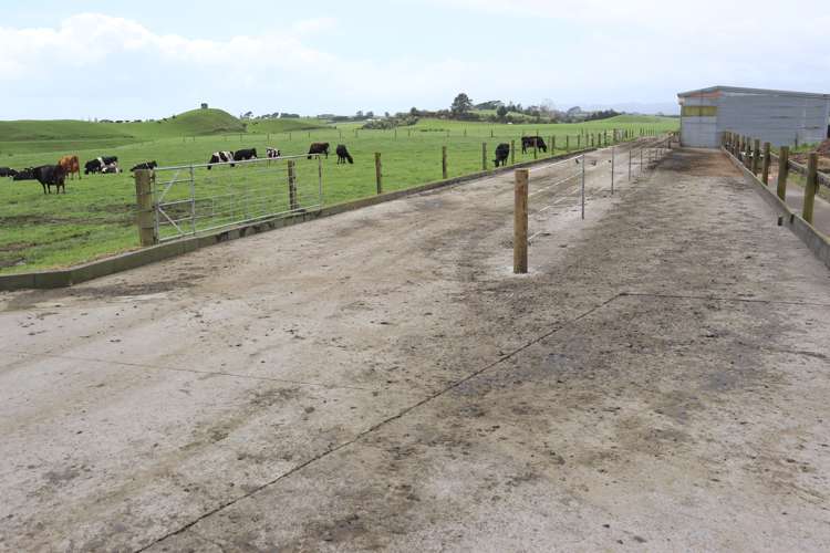 627 Inland North Road Onaero_18