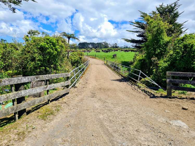 299 Cardiff Road Cardiff_7