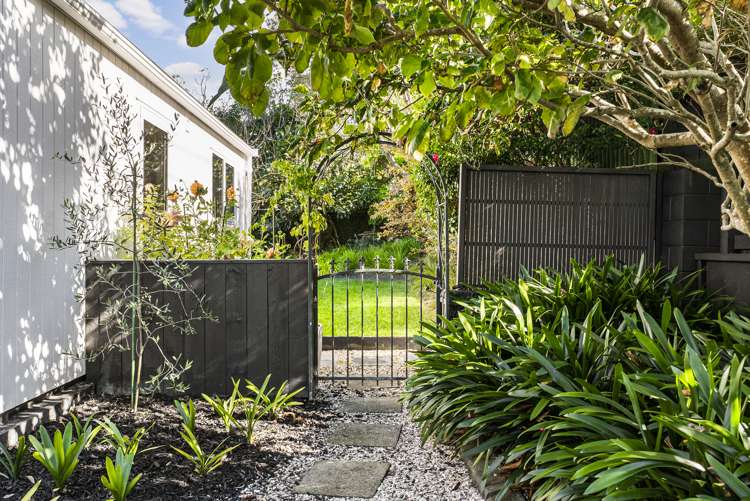 785 Whangaparaoa Road Manly_32