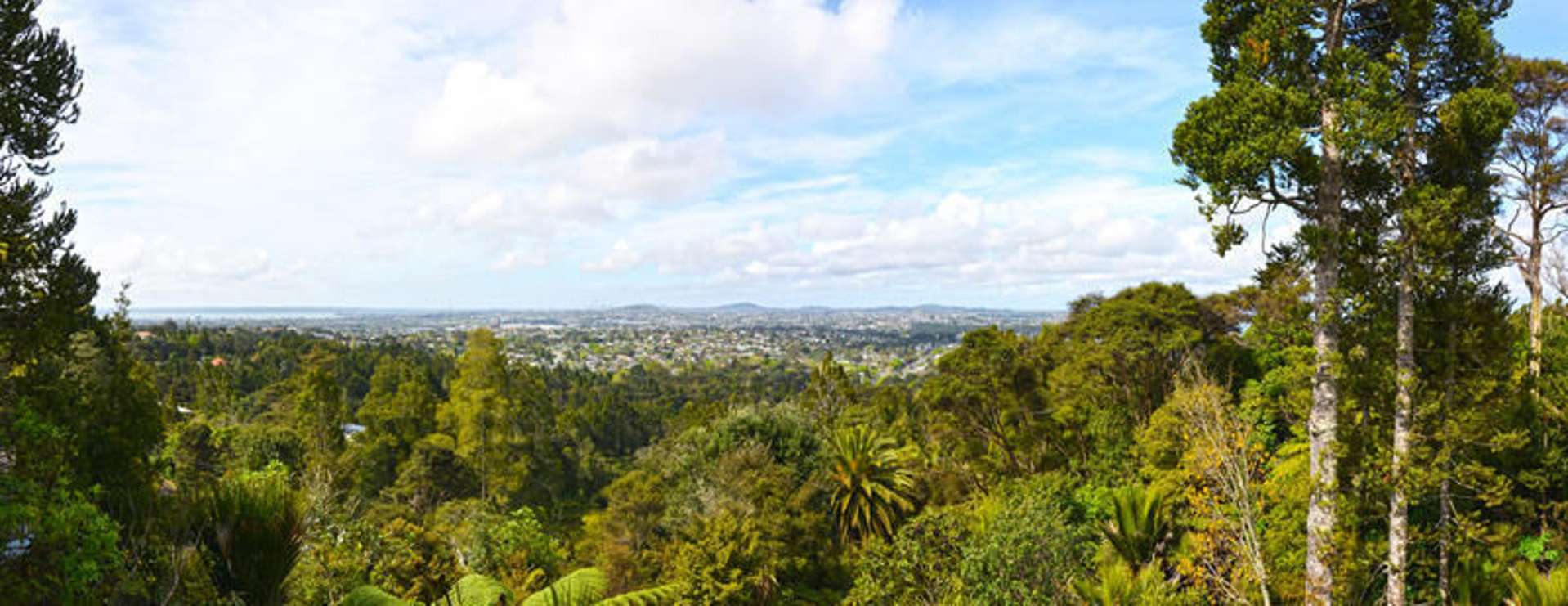 3 Park Road Titirangi_0