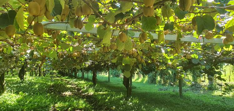 11 Edward Avenue Pyes Pa_22