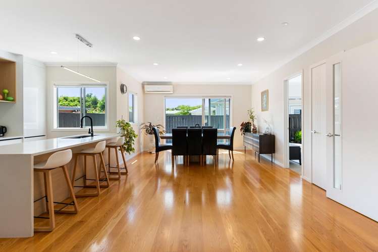 38b Olsen Avenue Hillsborough_10