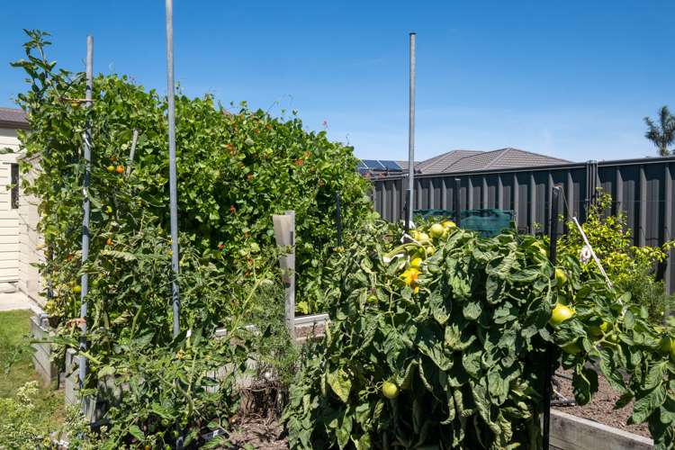 15 Lochhead Street Mahora_24