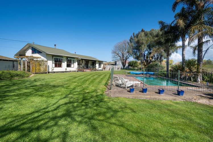 115 Tennant Road Hastings_15