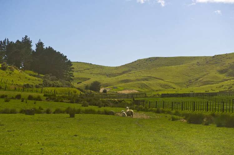 621 Black Jack Road Opito Bay_16