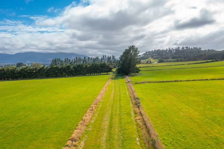 345 Summerhill Road Cust_6