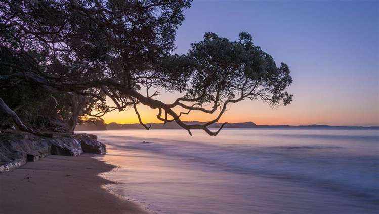 43 William Bayes Place Red Beach_8