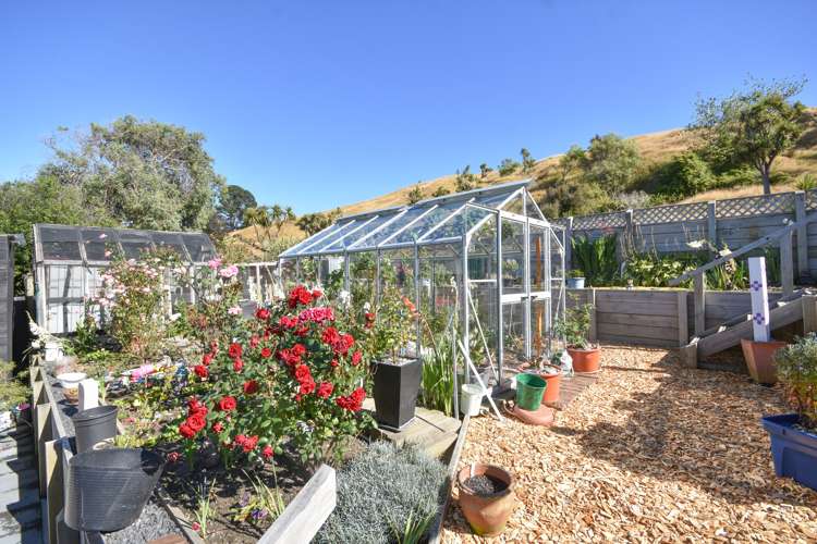 706 Brighton Road Ocean View_19