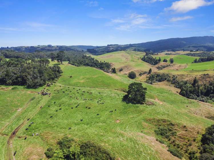870 Mangati Road Pirongia_36
