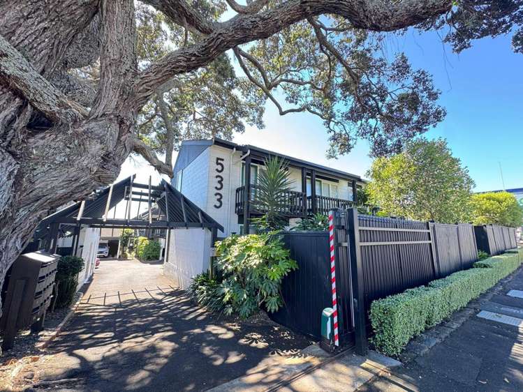 533 Manukau Road Epsom_8