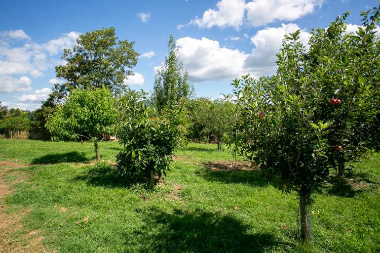 41 Luck At Last Road Cambridge_18