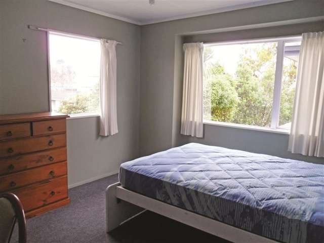 809a Great King Street North Dunedin_4