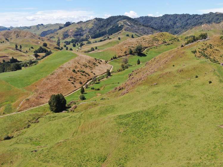 168 Matiere Road Aria_7