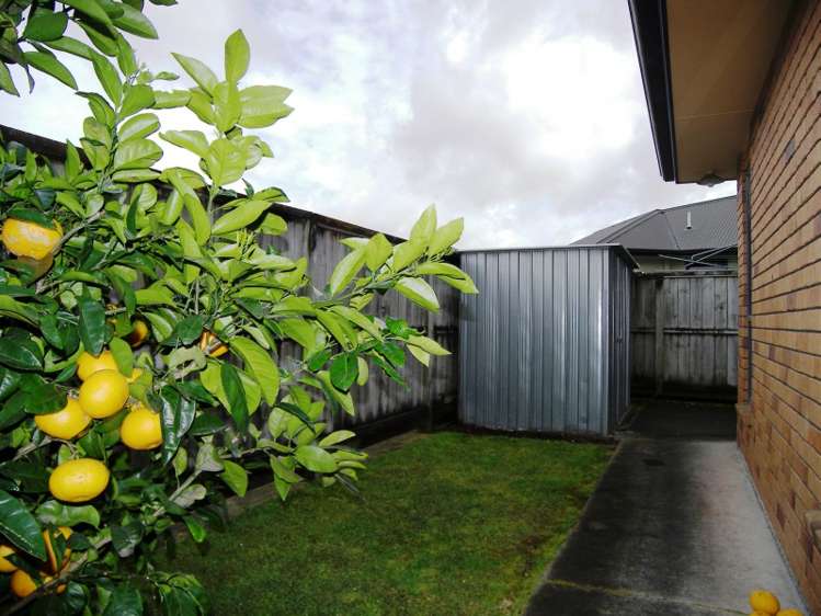 17 Alba Place Cambridge_8