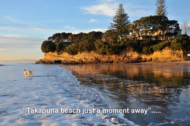 6/11 Sanders Avenue Takapuna_14