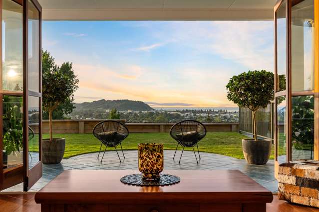 49 Hillview Terrace Mangapapa_4