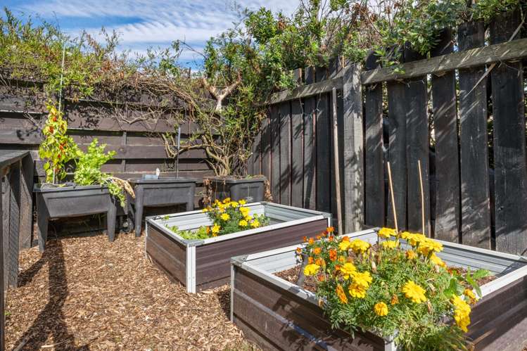 3/36 Leefield Street Blenheim Central_13