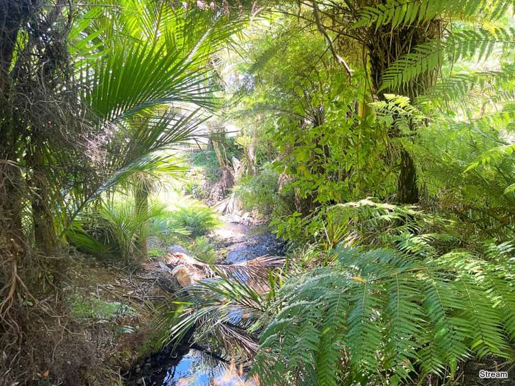 29 Cape Barrier Road Great Barrier Island (Aotea Island)_9