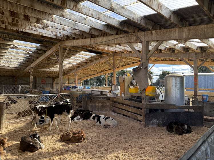 169 Hamilton Road Isla Bank_13