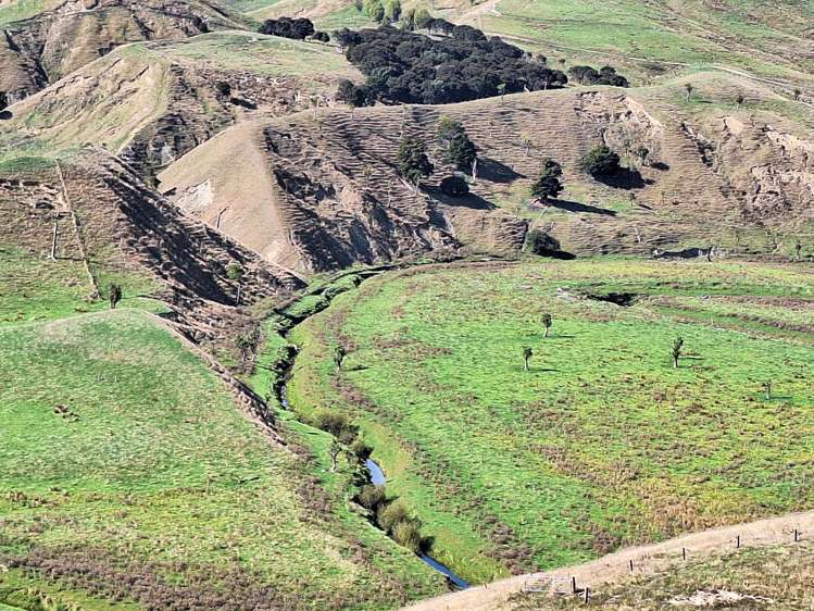 Mangaone Road Pongaroa_17