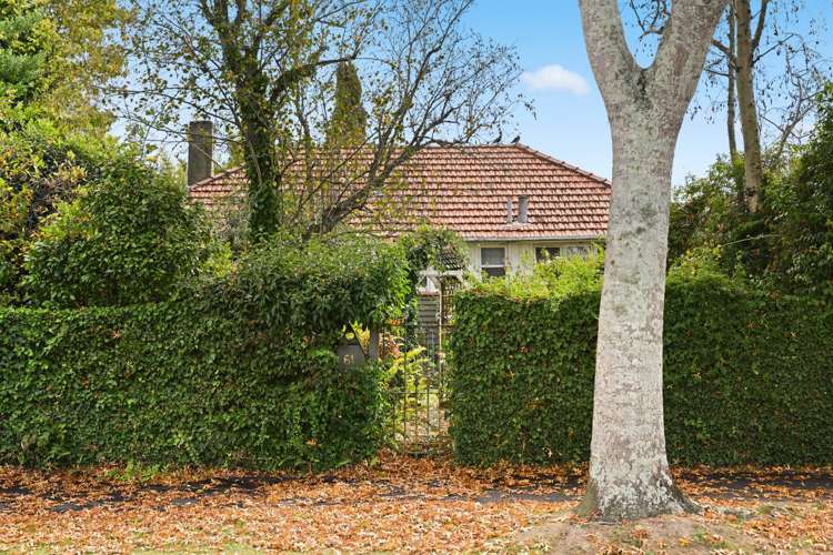 61 Holland Road Fairfield_21