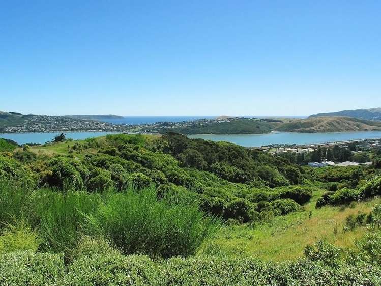 28 Kahurangi Heights Aotea_26