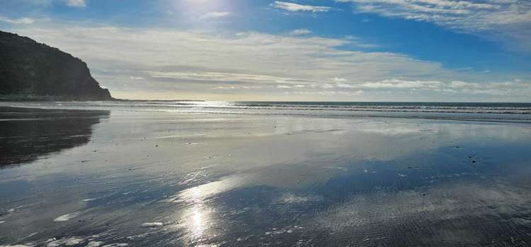 4 Nikau Heights, Little Wanganui Karamea_20